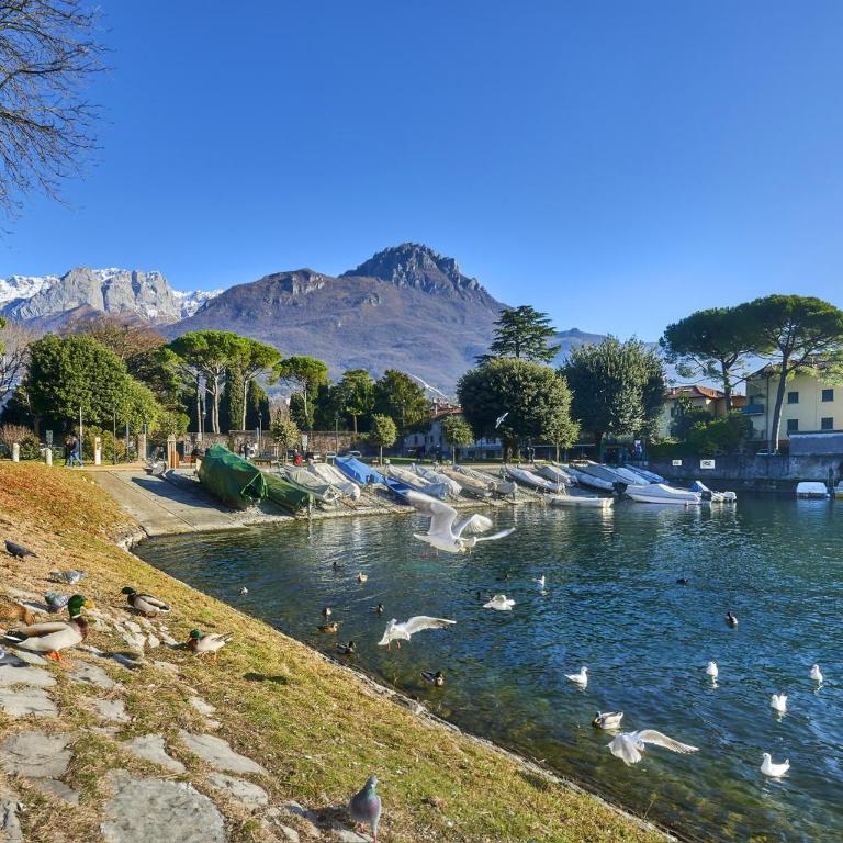 La finestra sul lago - Appartamento con 1 Camera da Letto - 22