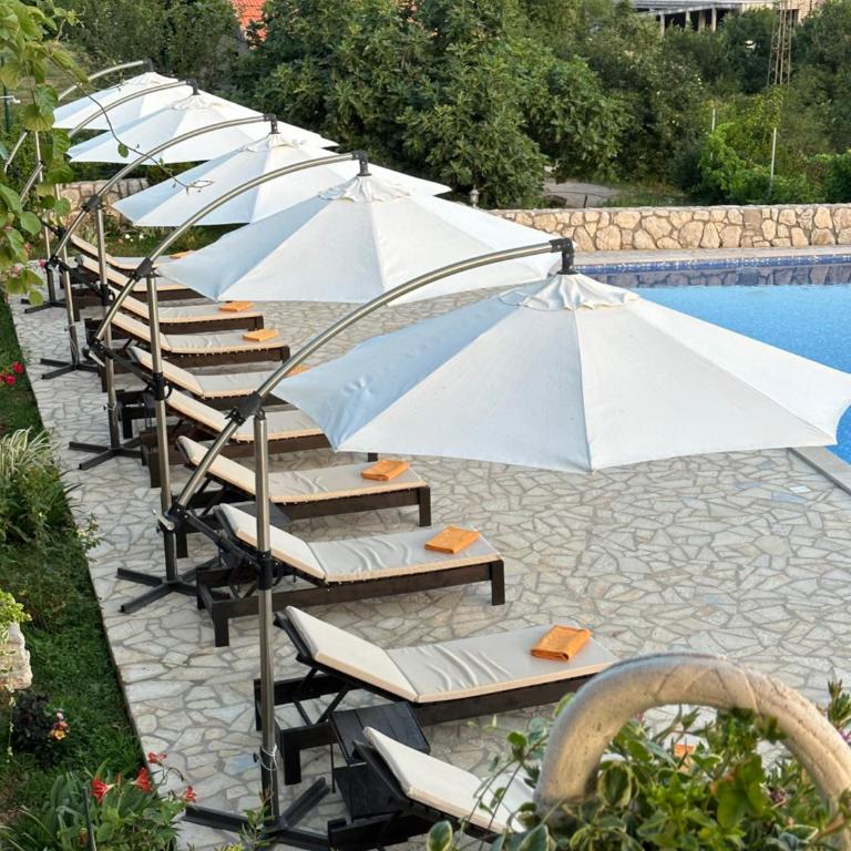 Villa Marija **** with private pool - Vila - 90
