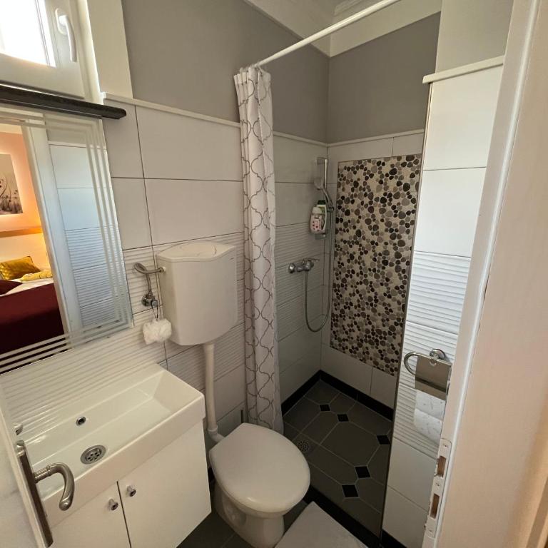Hostel Dino - Dvokrevetna Soba sa Bračnim Krevetom i Kupatilom - 1