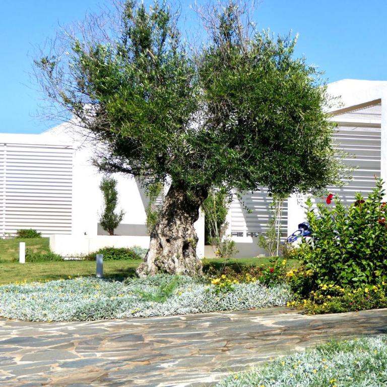 ISA-Resort Capo Falcone - Appartamento - 18