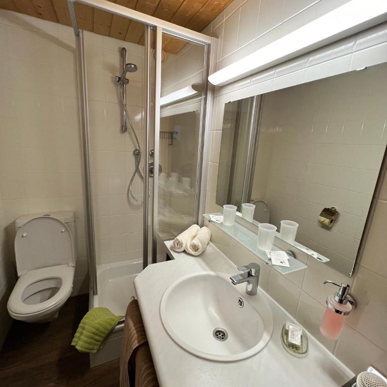 Haus Kneissl - Standard Apartment mit 1 Schlafzimmer und Balkon - 2