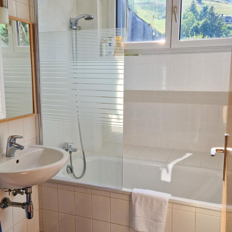 Apartment CityXpress TOP 18 - near ski lift and town - Apartment mit 1 Schlafzimmer - 9