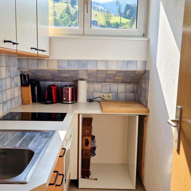 Apartment CityXpress TOP 18 - near ski lift and town - Apartment mit 1 Schlafzimmer - 13