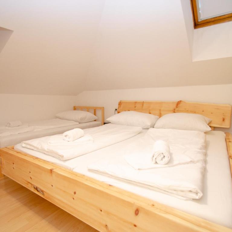 Apartment CityXpress TOP 18 - near ski lift and town - Apartment mit 1 Schlafzimmer - 15