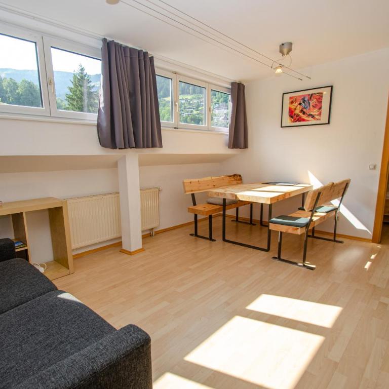 Apartment CityXpress TOP 18 - near ski lift and town - Apartment mit 1 Schlafzimmer - 3