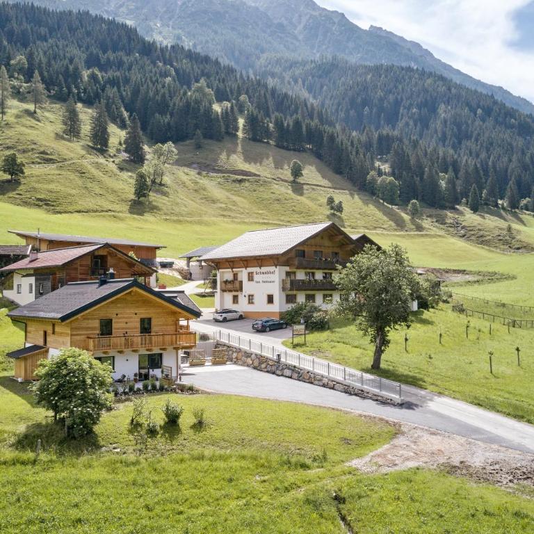 Ferienwohnungen Schwabhof - Apartamento (6-8 adultos) - 10