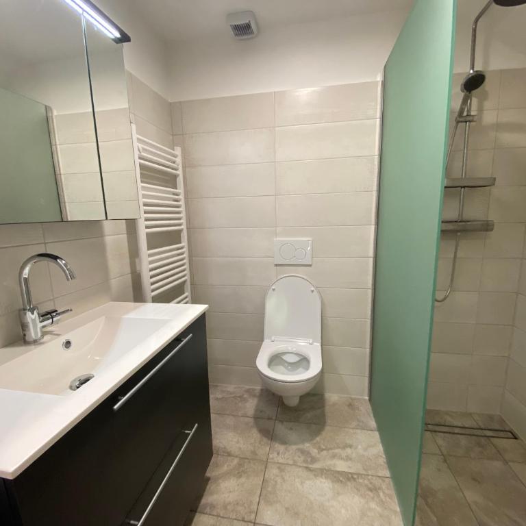 Auszeit Salzkammergut Appartements - Apartment mit 2 Schlafzimmern - 3