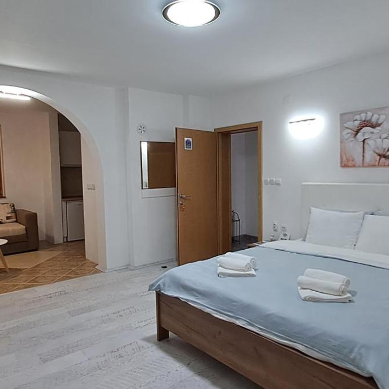 Apartmani Talija 3 i 4 Sokobanja - Apartman - 5