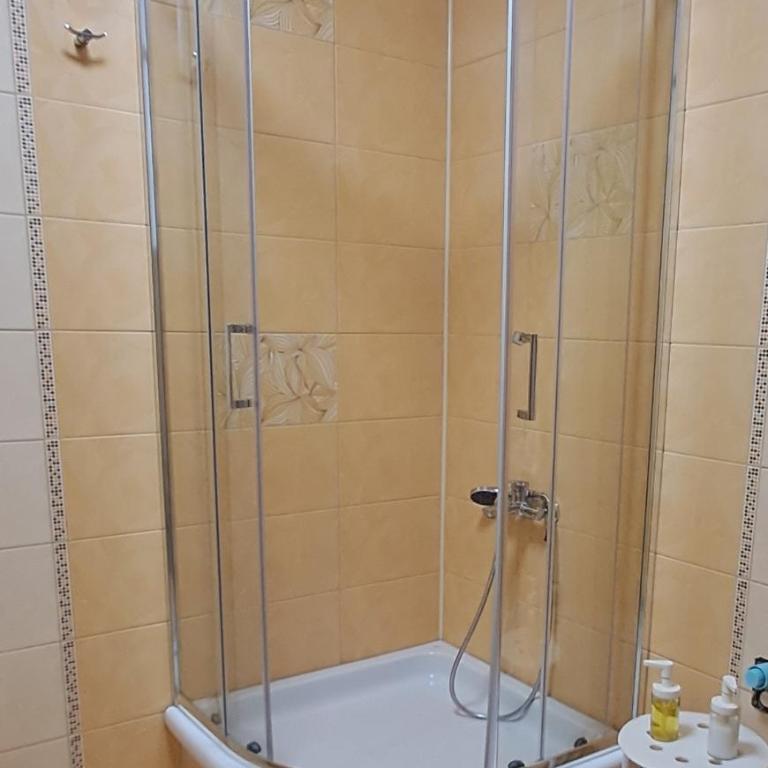 Apartmani Talija 3 i 4 Sokobanja - Apartman - 10