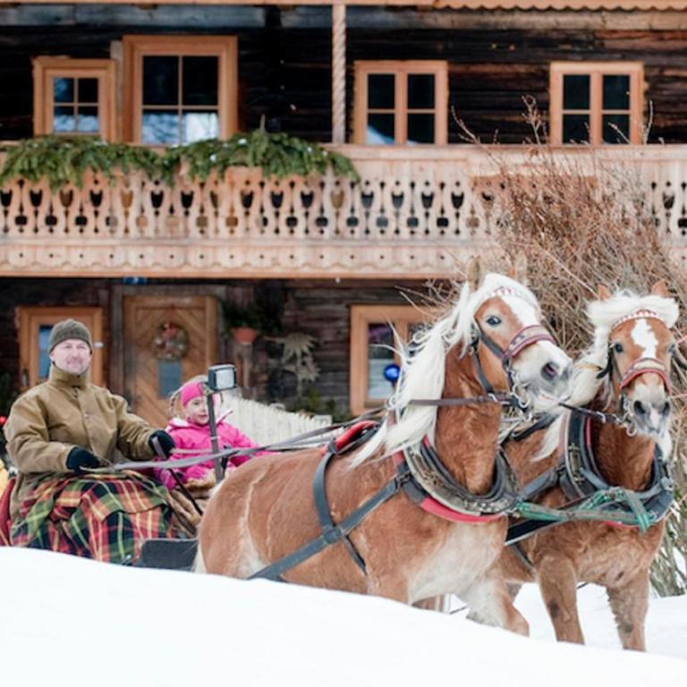 Ferienhaus Altenmarkt - Ferienhaus mit 4 Zimmern - 53
