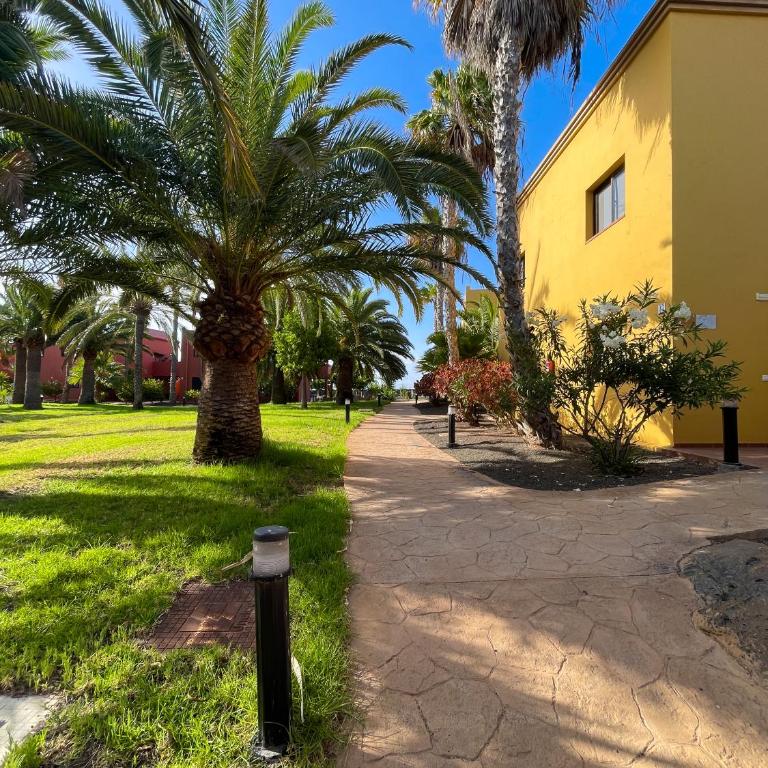 Karol Home by Best Holidays Fuerteventura - One-Bedroom Apartment - 52