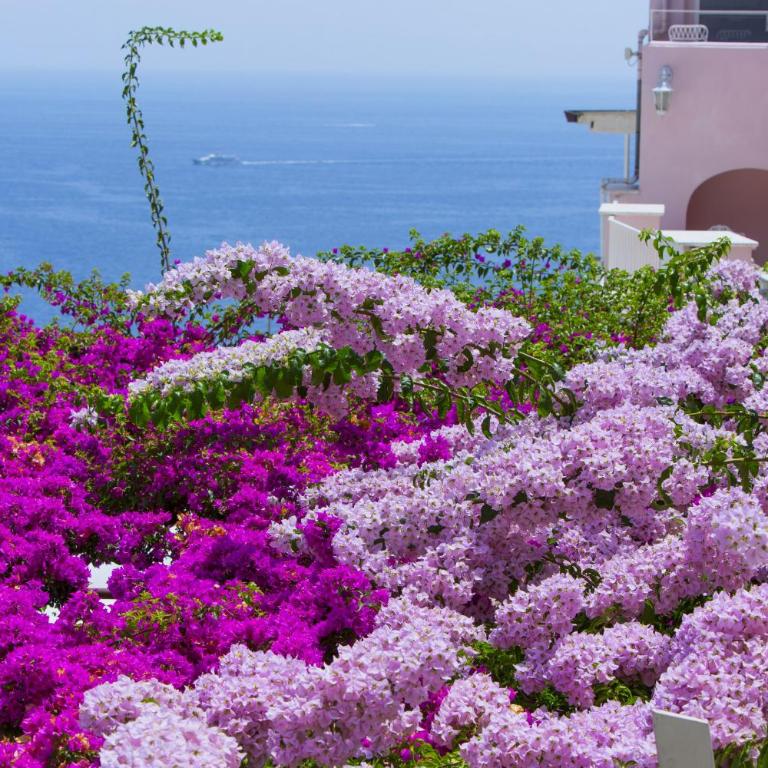 Estate4home- La casa del Maresciallo - Vacation Home - 15