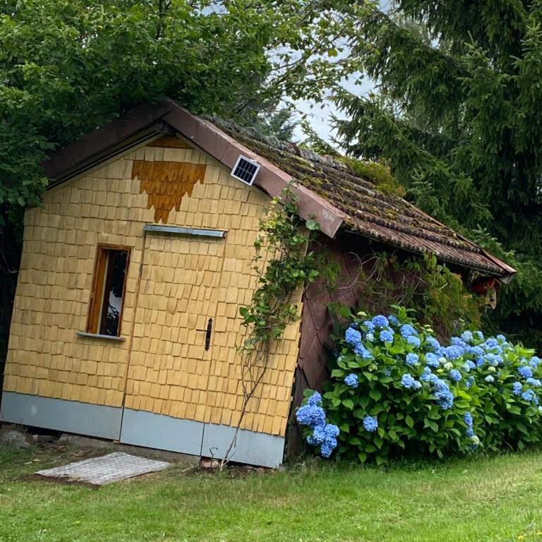 gite moya - Chalet - 38