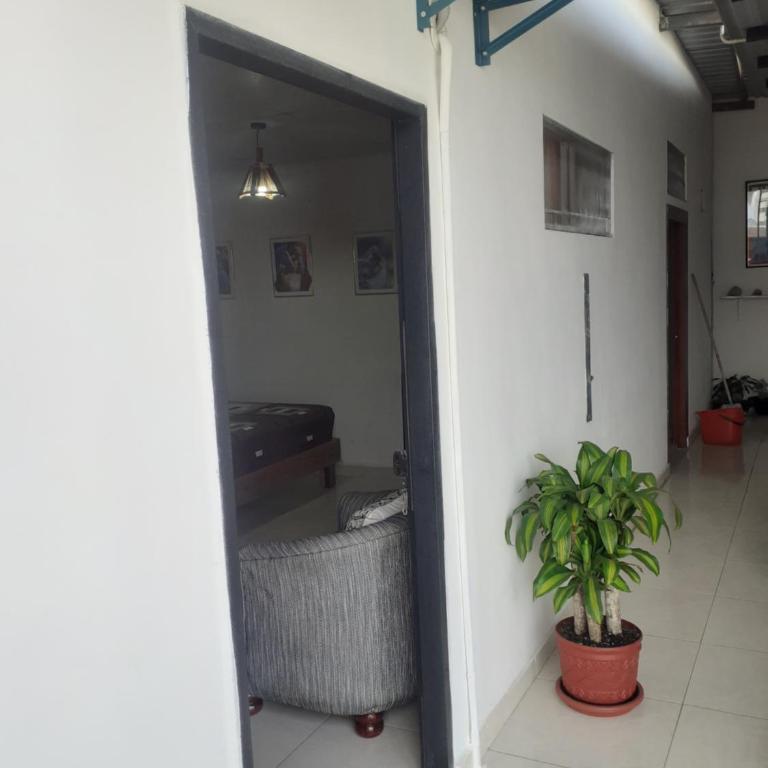 El nido del pajarillo - Suite con cama grande - 6