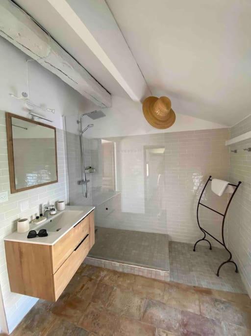 Grand duplex lumineux-hyper centre - Apartment mit 2 Schlafzimmern - 24