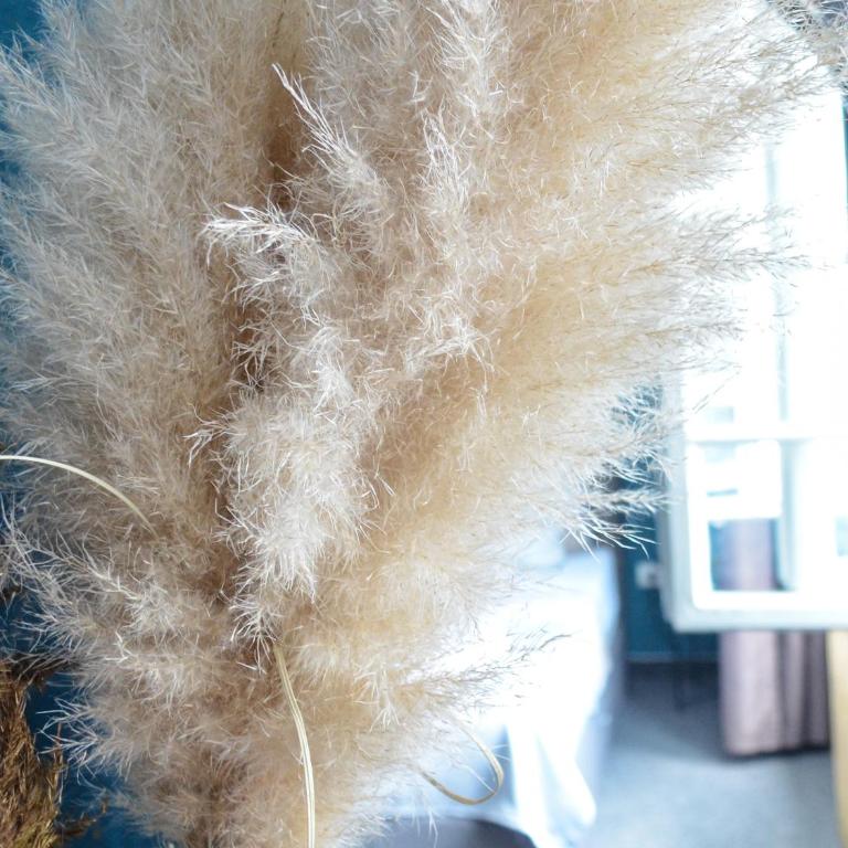 MOOW Belgrade Waterfront View Apartments - Apartman sa 1 Spavaćom Sobom - 4