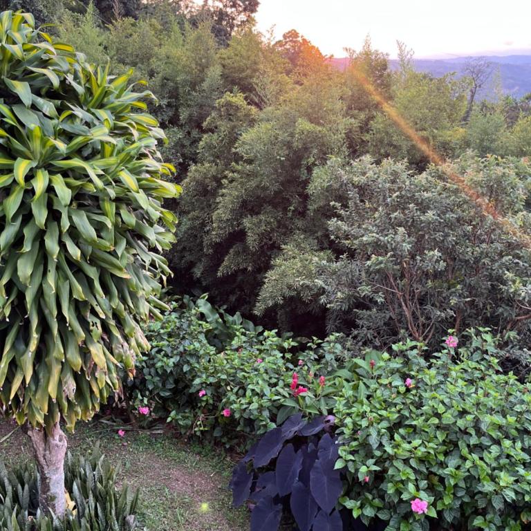 Tierra Mágica eje cafetero - Apartamento de 2 dormitorios - 17