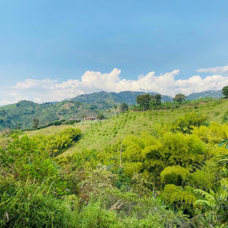 Tierra Mágica eje cafetero - Apartamento de 2 dormitorios - 18