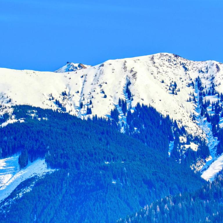 Alpin & Seeresort Top 10 - by Alpen Apartments - Apartment mit Seeblick - 10