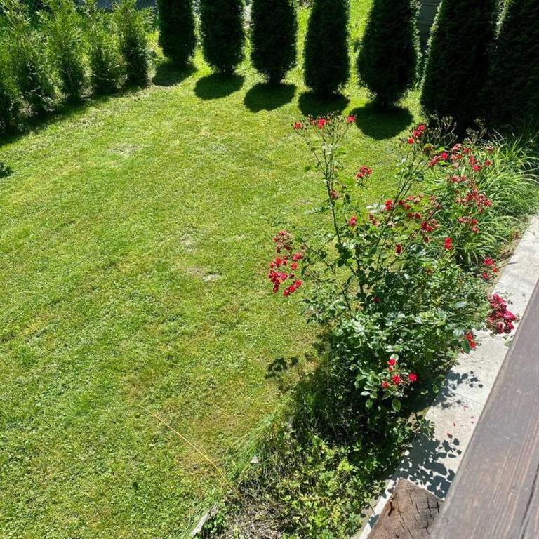 Gastuna Suites-Familienapartment - Apartamento de 3 dormitorios - 4