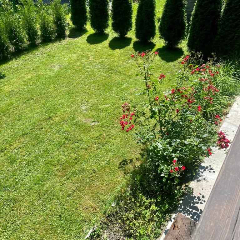 Gastuna Suites-Familienapartment - Apartamento de 3 dormitorios - 14