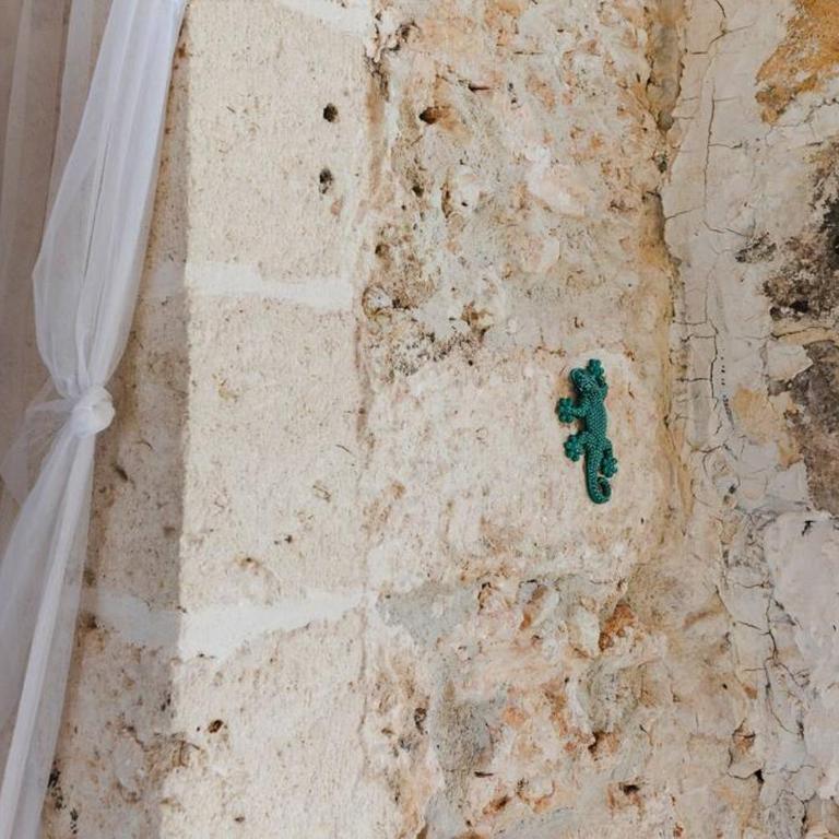 19th century Trullo Raeda in the middle of nature - Villa con 1 Camera da Letto - 31
