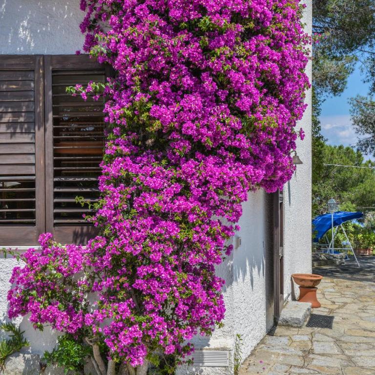 Villa Ottagonale - Villa con Piscina Privata - 51