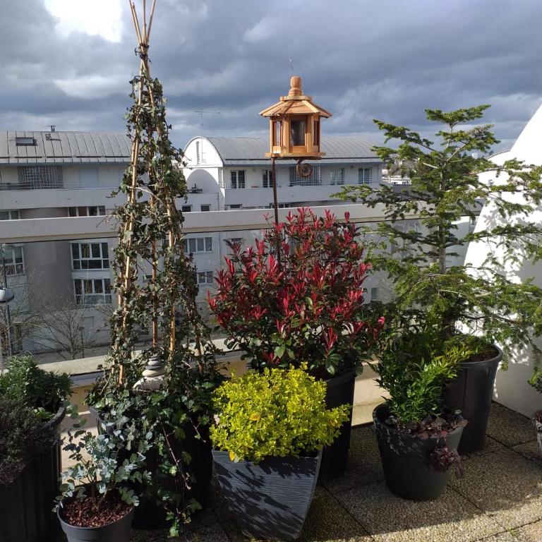 Sur les toits d'Orléans - Appartamento con 2 Camere da Letto - 1