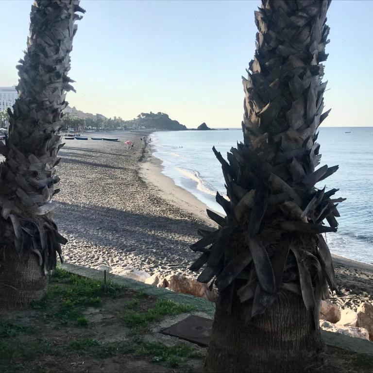 Apartamento 2 dormitorios en primera linea de playa San Cristóbal - Apartamento de 2 dormitorios - 26