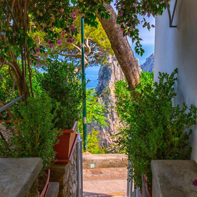 Faraglionensis MonaconeHouse Villa - Villa con 2 Camere da Letto - 43