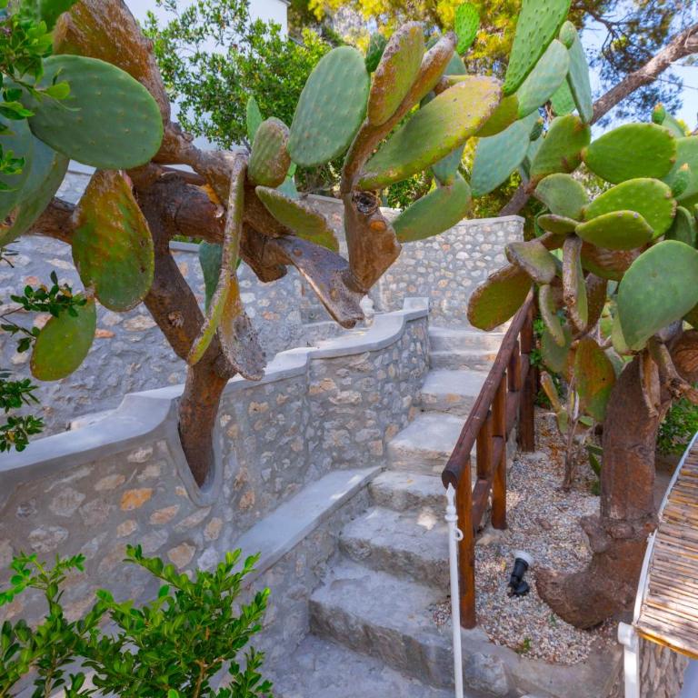 Faraglionensis MonaconeHouse Villa - Villa con 2 Camere da Letto - 29