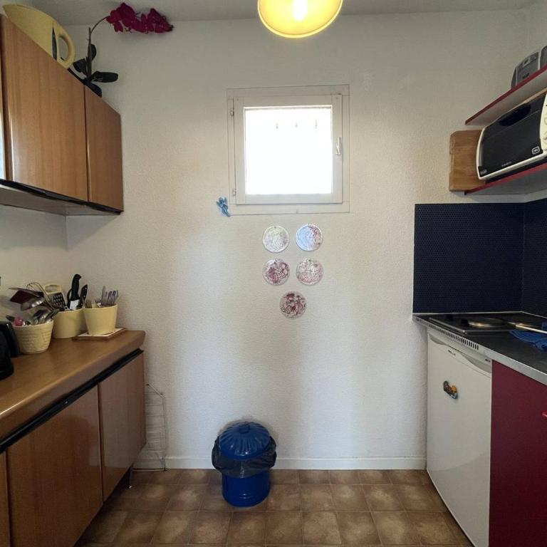T2 avec piscine, parking, animaux admis - Proche plage Saint-Cyprien - FR-1-106-84 - Apartment - 7