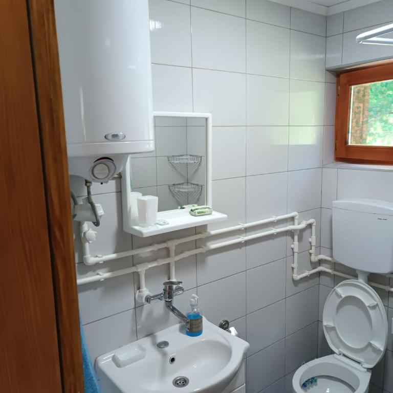 Vila Mitrović Zaovine - Vila sa 2 Spavaće Sobe - 10