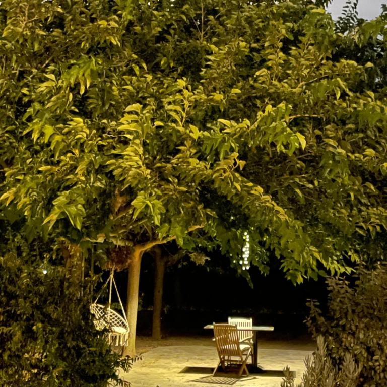 Villa Only Adults 2 Pax · Piscina Privada · A/C · WIFI · BBQ - Villa con piscina privada - 26