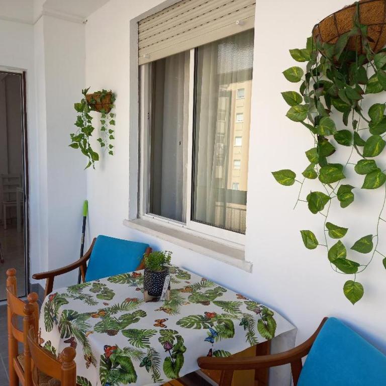 central apartment with large terrace malaga - Apartamento - 15