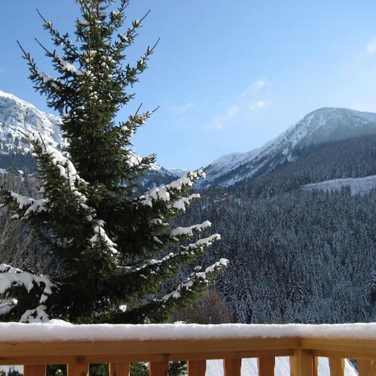 The Loft 3 minutes from Alpe dHuez Grand Domaine via Oz en Oisans - Penthouse-Apartment - 23
