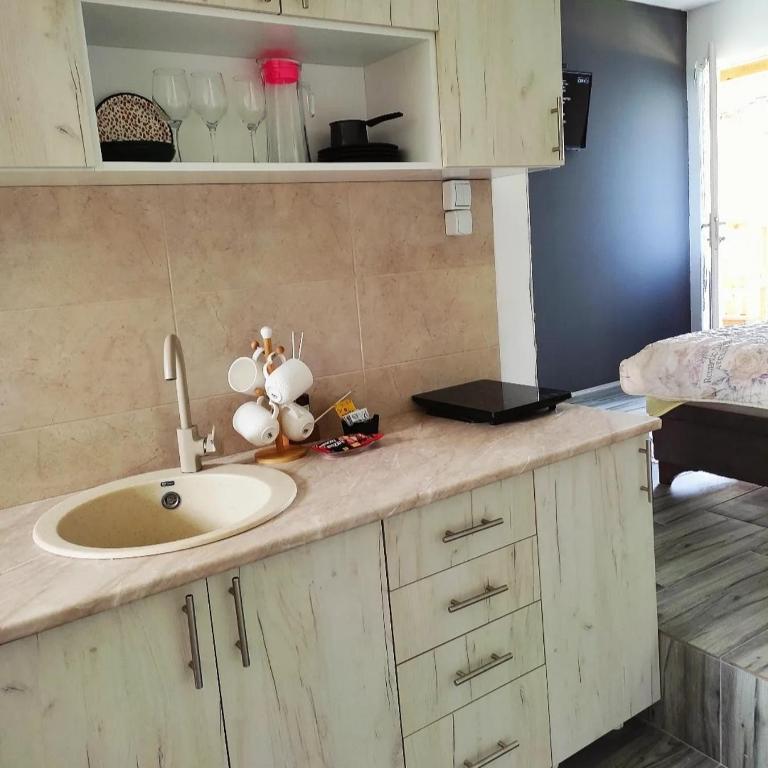 Apartman Boba Vrnjačka Banja - Apartman sa 1 Spavaćom Sobom - 17