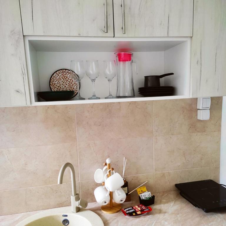 Apartman Boba Vrnjačka Banja - Apartman sa 1 Spavaćom Sobom - 18