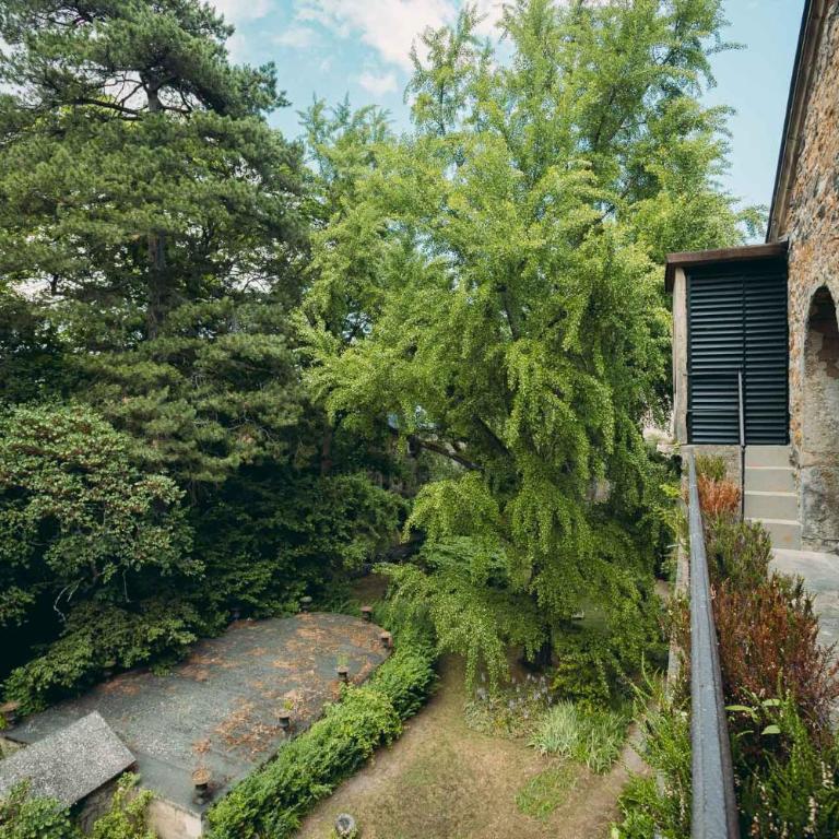 Les Suites de l'Ile Barbe - Suite - Rez-de-Jardin - 15