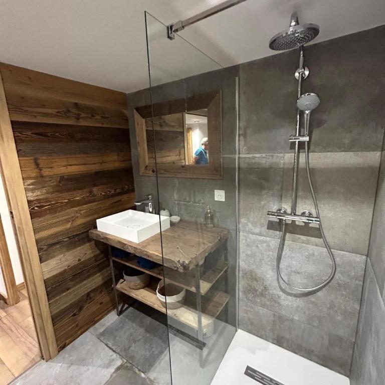 Logement avec jardin et vue panoramique MontBlanc - Appartement 2 Chambres - 16