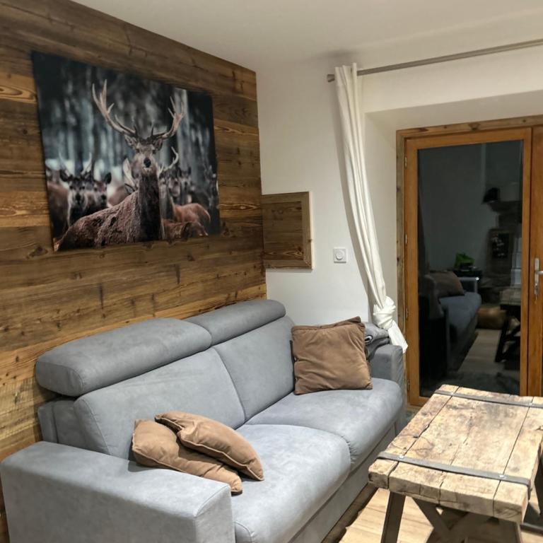 Logement avec jardin et vue panoramique MontBlanc - Appartement 2 Chambres - 15