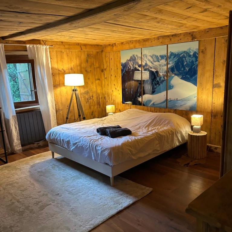 Logement avec jardin et vue panoramique MontBlanc - Appartement 2 Chambres - 6