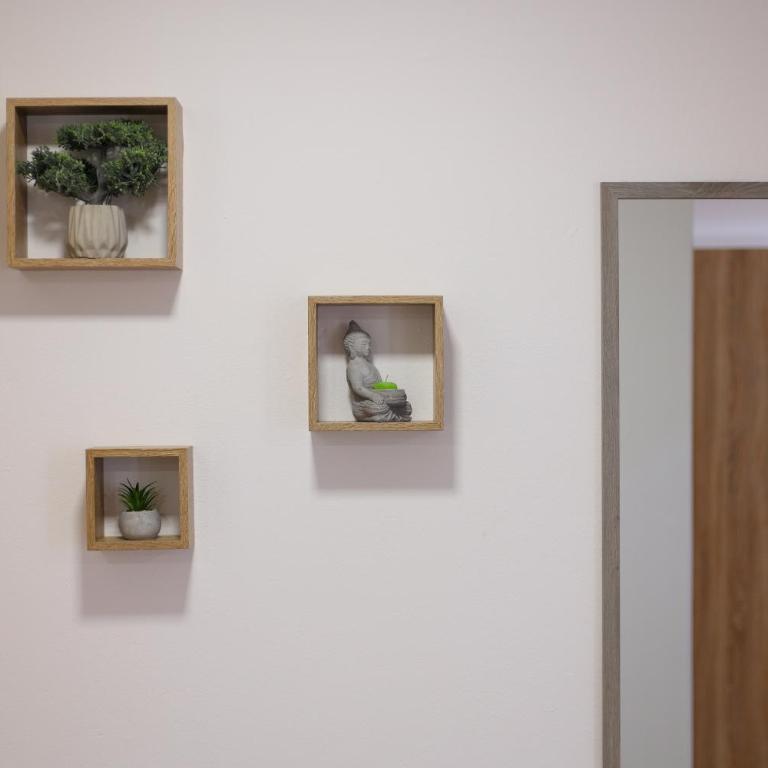 Studio Petra - Apartman sa 1 Spavaćom Sobom - 5