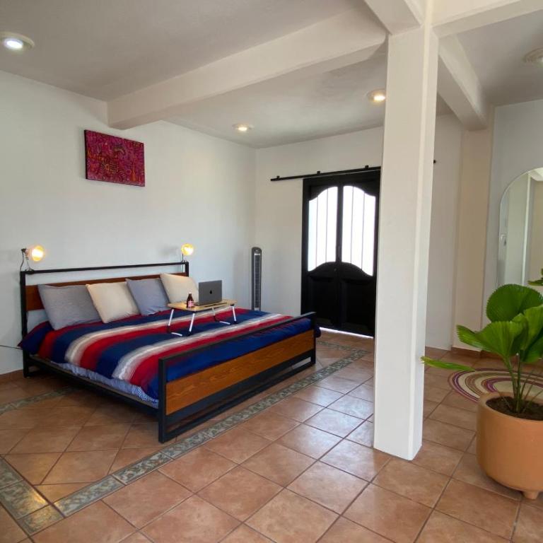 Pent house con terraza o departamento con balcón en el centro de oaxaca - Apartamento de 1 dormitorio con balcón - 2