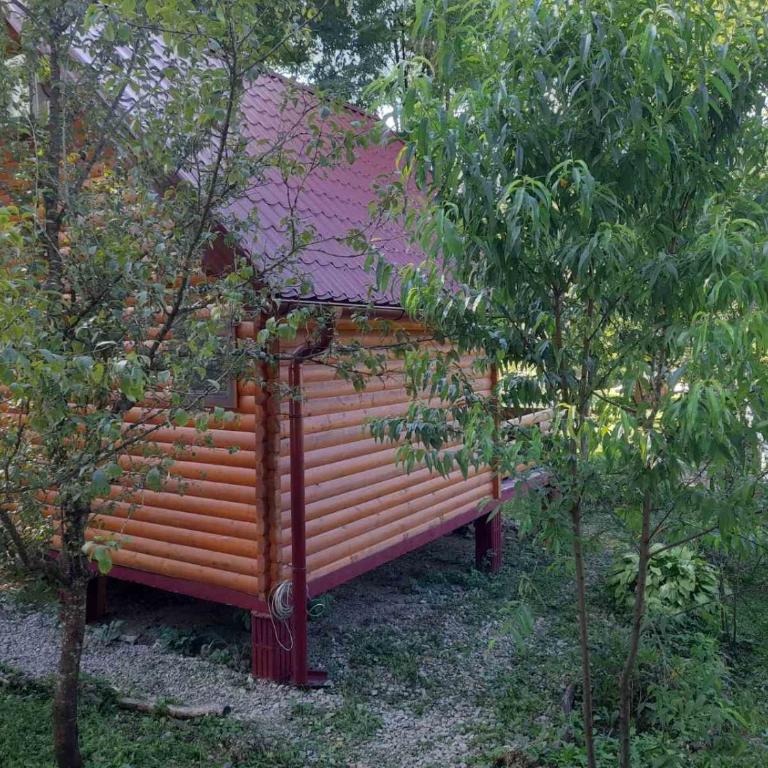 Pure Nature - One-Bedroom House - 24