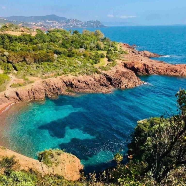 Le Soleil d’or - Appartement - Vue sur Mer - 42