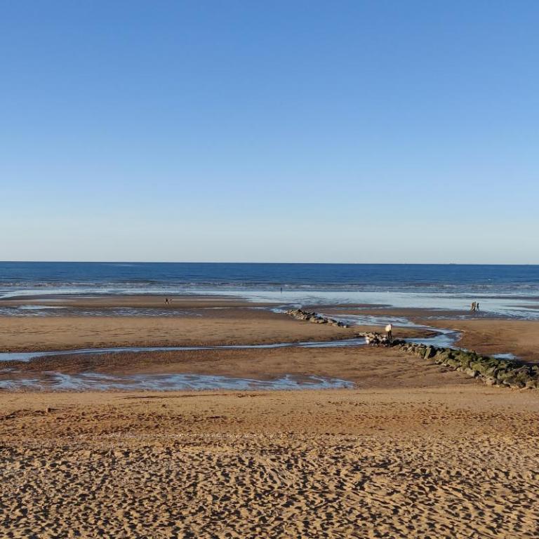 Cottage Cabourg plage avec jardin et vélos - Two-Bedroom House - 12
