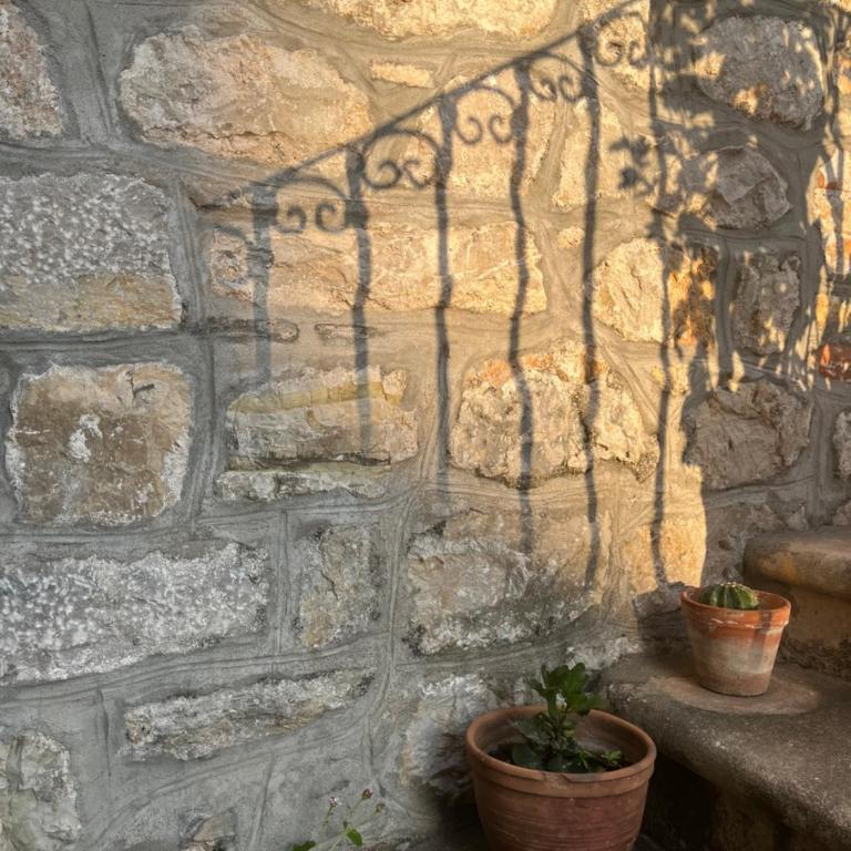 Hidden Gem Studio Apartment - One-Bedroom Apartment - 31