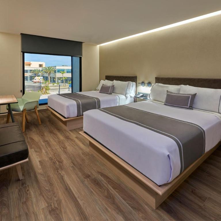 City Express Plus by Marriott Mazatlan - Queen Room with Two Queen Beds - 3