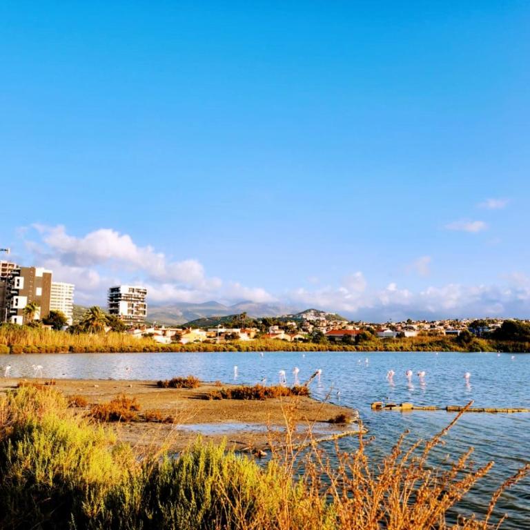 Apartamento Atlántico Calpe - Apartamento de 1 dormitorio - 20